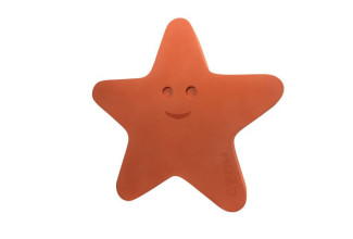 Hviezdica Starfish