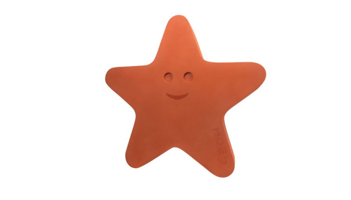 Hviezdica Starfish